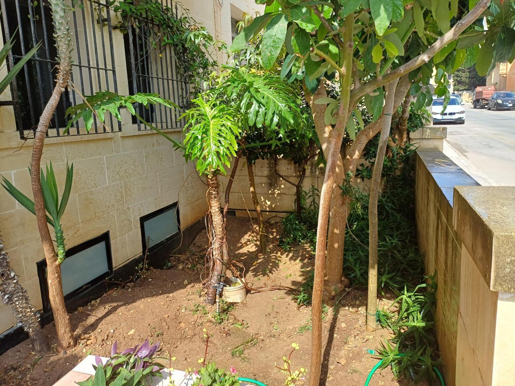 Cosy Spacious Maisonette 马尔萨斯卡拉 外观 照片